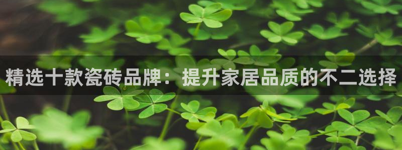 华润国际娱乐官网：精选十款瓷砖品牌：提升家居品质的不二选择