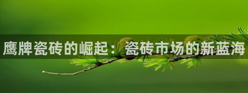 华润娱乐首122222：鹰牌瓷砖的崛起：瓷砖市场的新蓝海