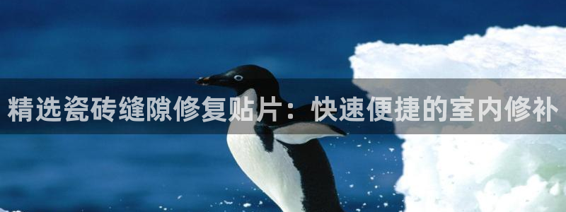 华润娱乐平台主管：精选瓷砖缝隙修复贴片：快速便捷的室内修补