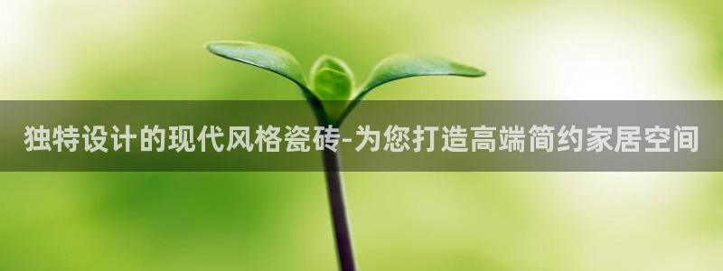 华润国际附近娱乐
