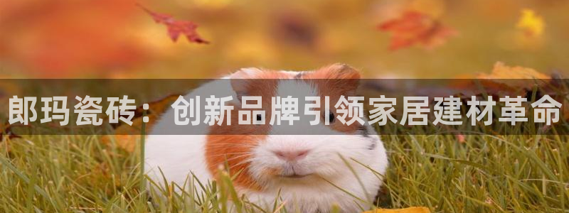 华润娱乐拭92222