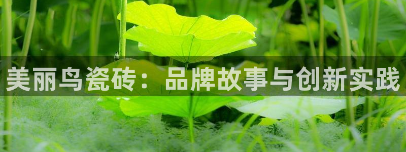 新会华润娱乐会所地址