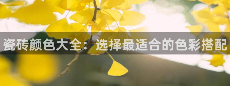 华润娱乐下载