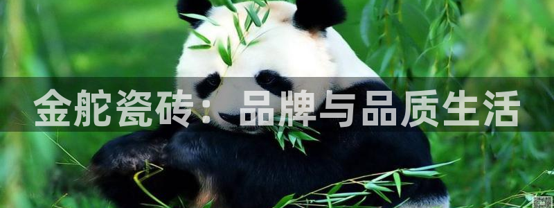 华润娱乐23bd1指尖