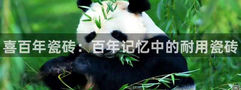 华润通积分娱乐大厅
