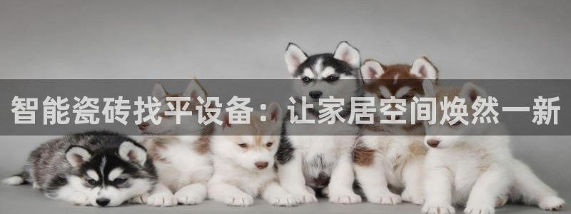 华润娱乐找382223