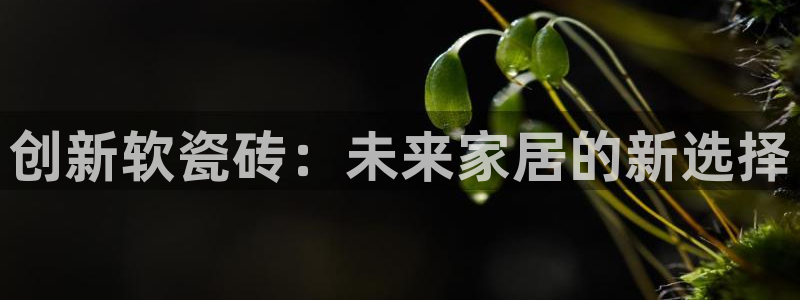 华润娱乐主管
