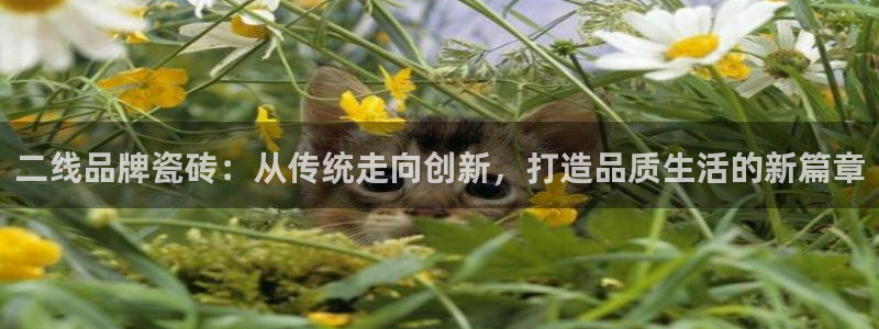 华润娱乐平台招商电话