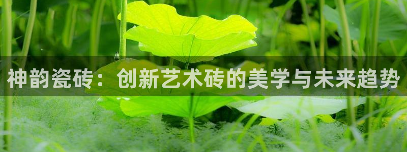 华润2娱乐平台主管