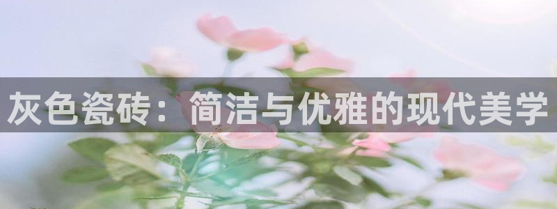 华润娱乐总管48793