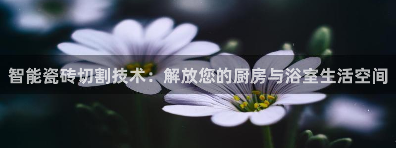 华润娱乐46996精确