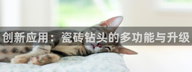 华润娱乐闪122222