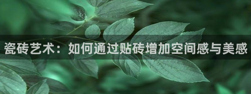 华润娱乐贴吧论坛最新