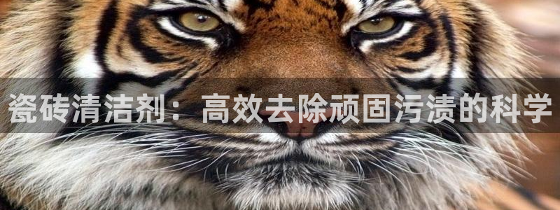 华润娱乐皆92222