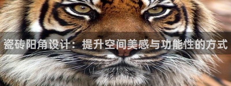 华润集团有娱乐公司吗