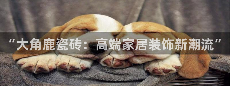 华润注娱乐注册