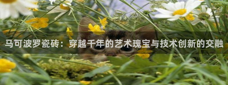 华润集团娱乐的网址