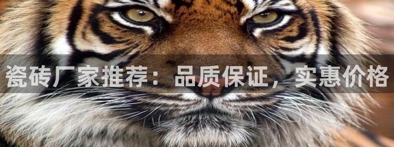 华润娱乐时时彩