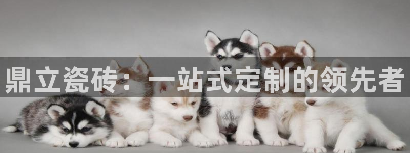 新会华润娱乐会所电话