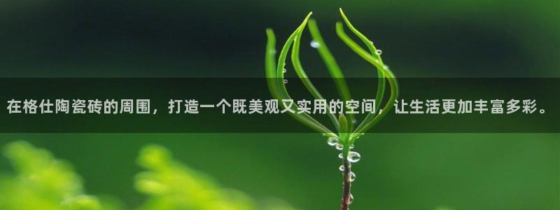 华润娱乐a3指尖