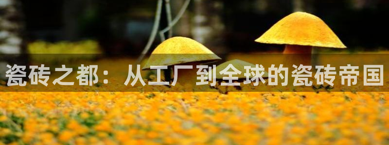 华润的娱乐项目