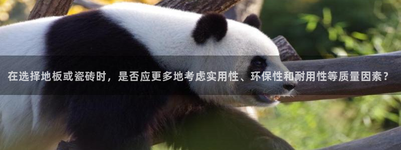 华润娱乐行政招聘面试