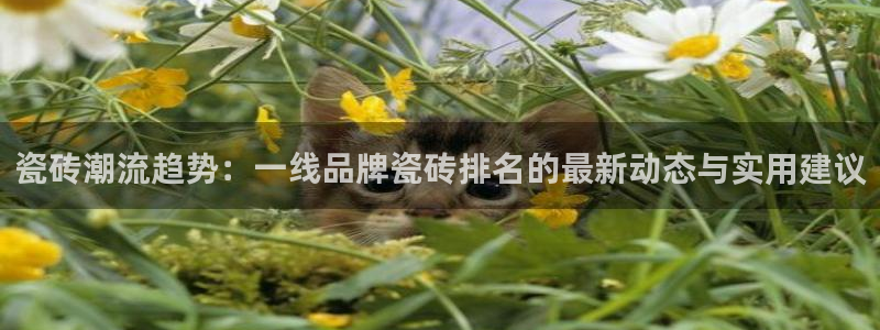 华润娱乐贴吧论坛