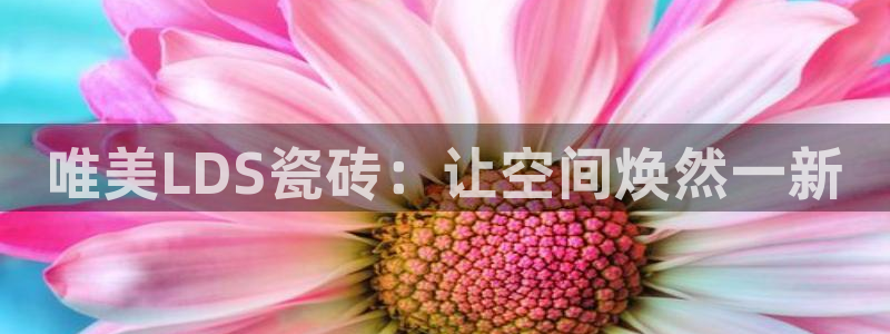 华润娱乐空92222