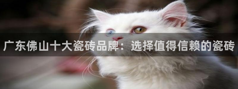 华润娱乐平台招商