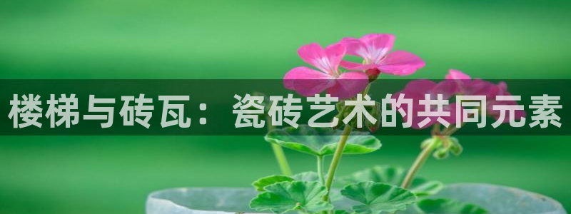 华润通积分娱乐大厅在哪