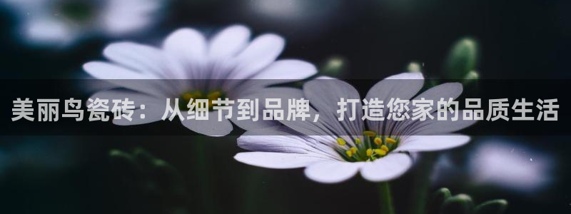 华润娱乐丶92222