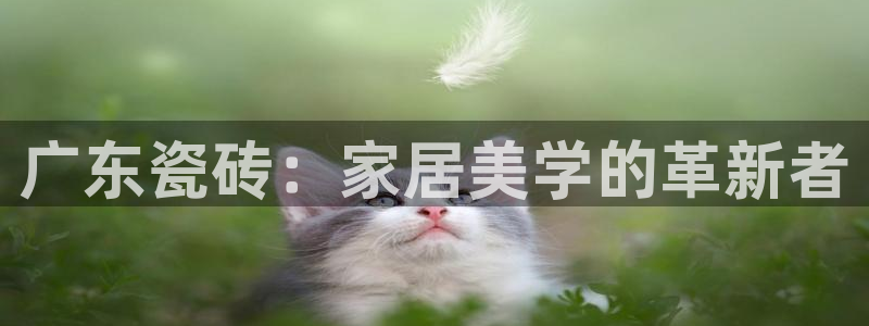 华润娱乐枷92222