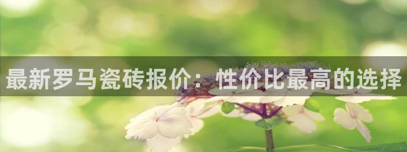 小智娱乐华润