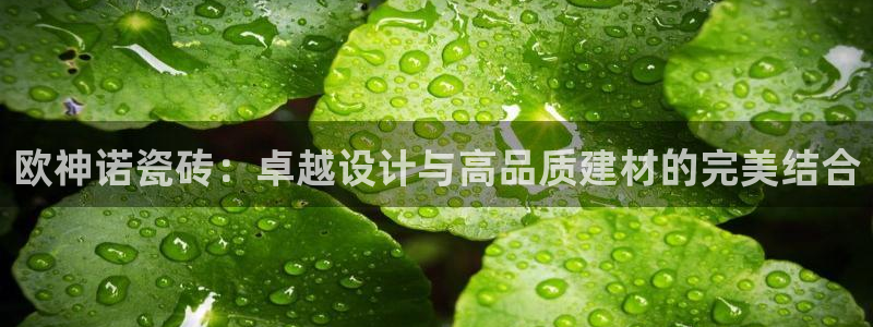 华润娱乐传媒