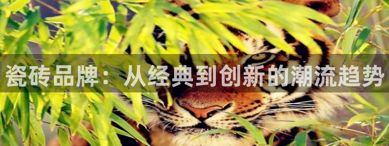 华润小径湾娱乐会所电话