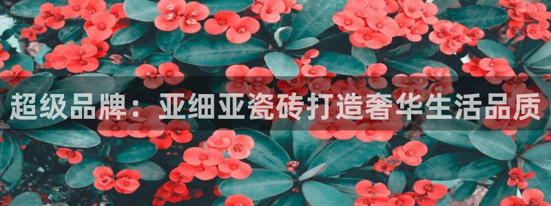 华润娱乐丶92222