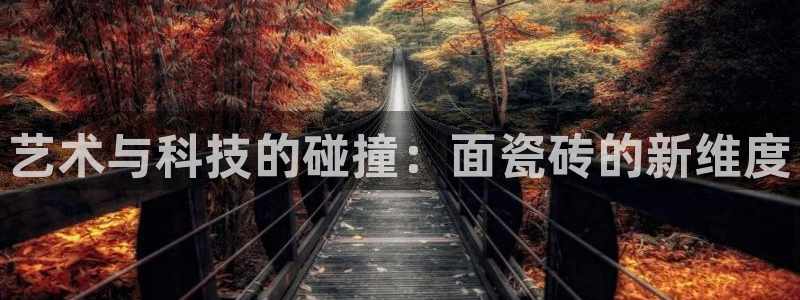高州华润娱乐项目